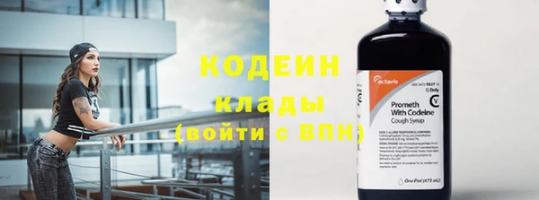 шишки Вяземский