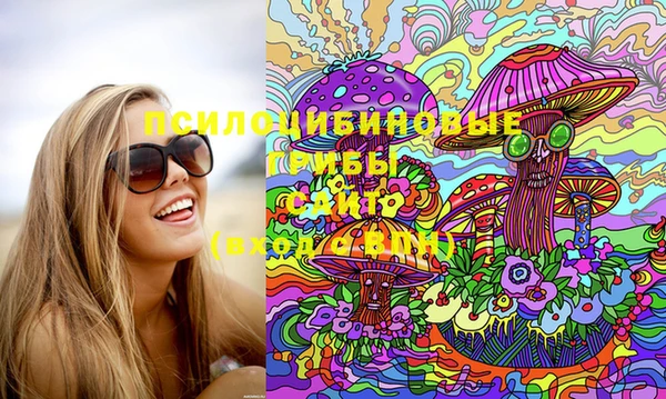 мдпв Горняк