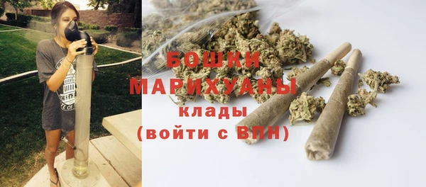 мдпв Горняк