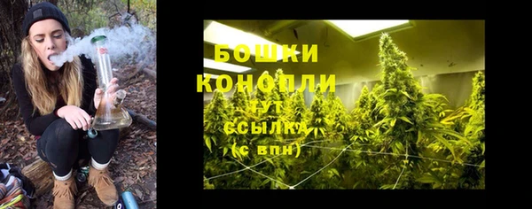 шишки Вяземский